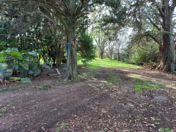 VENDO REGIA QUINTA DE 3750 M2 -EN LA REJA - IDEAL INVERSORES (AUT. 313)