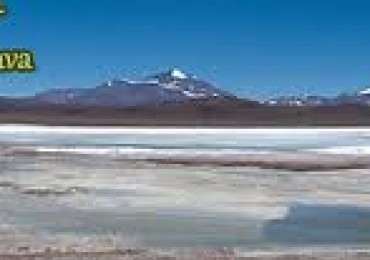 PROVINCIA DE LA RIOJA, VENDO 10 HECTAREAS EN 5 FRACCIONES DE 2 HECTAREAS CADA UNA (precio rebajado)
